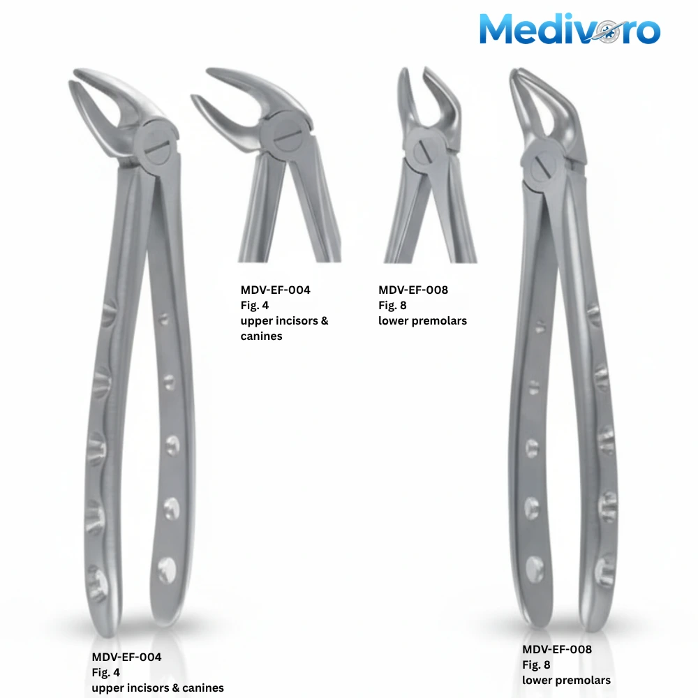 Medivoro stainless steel dental extracting forceps Fig 4 for upper incisors and Fig 8 for lower premolars.