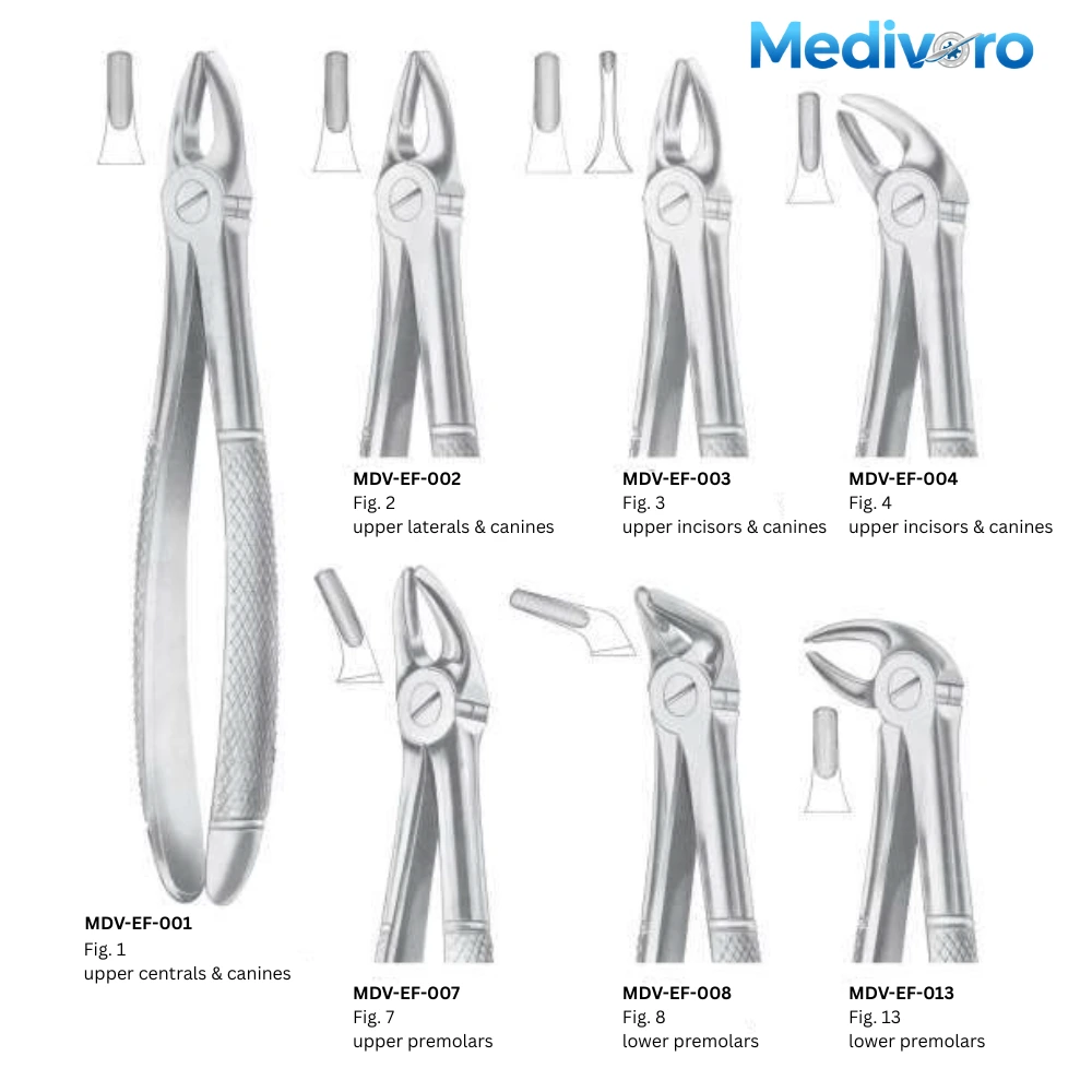 Medivoro dental forceps collection including Fig 1, 2, 3, 4, 7, 8, and 13 for upper and lower teeth extraction.