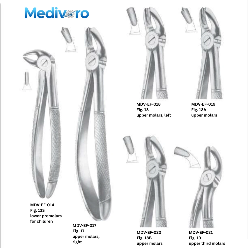 Medivoro pediatric dental forceps and root elevators including Fig 29S, 30S, 30, 31, and 32 for children and root extraction.