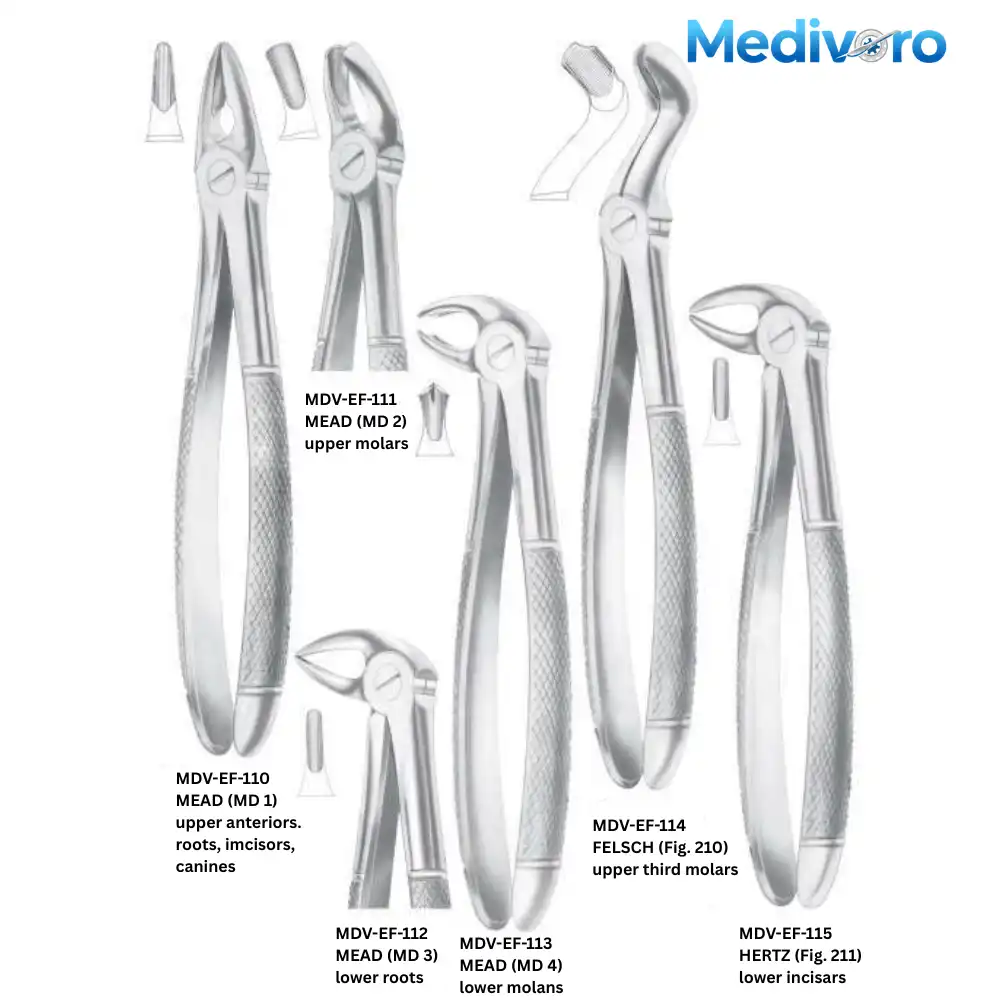 Medivoro Mead pattern forceps (MD 1, MD 2, MD 3, MD 4) and Felsch/Hertz forceps (Fig 210, 211) for dental extraction.