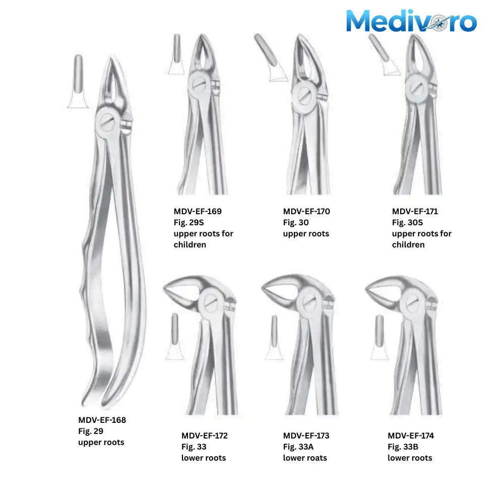 Medivoro dental forceps for upper roots (Fig 29, 30) and lower roots (Fig 33, 33A, 33B). Includes pediatric models Fig 29S and 30S.