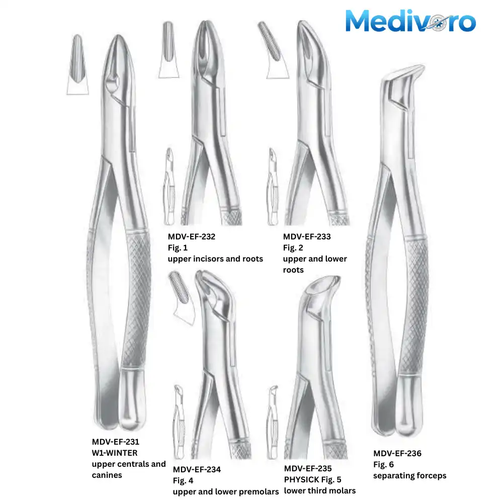 Medivoro dental forceps including Winter pattern W1, American pattern Fig 1, 2, 4, Physick Fig 5, and Separating Forceps Fig 6.