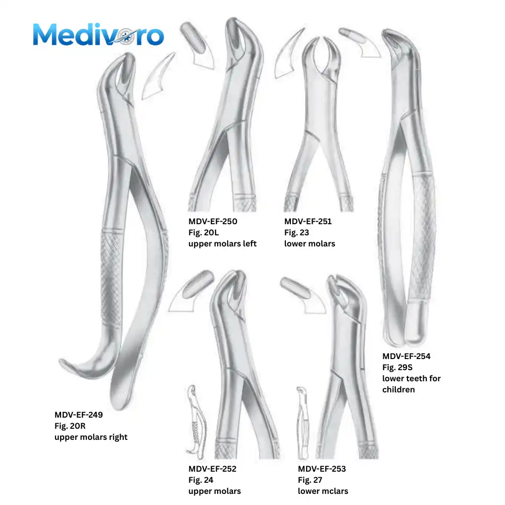 Medivoro American pattern forceps for upper molars (Fig 20R, 20L, 24), lower molars (Fig 23 Cowhorn, 27), and pediatric lower teeth (Fig 29S).