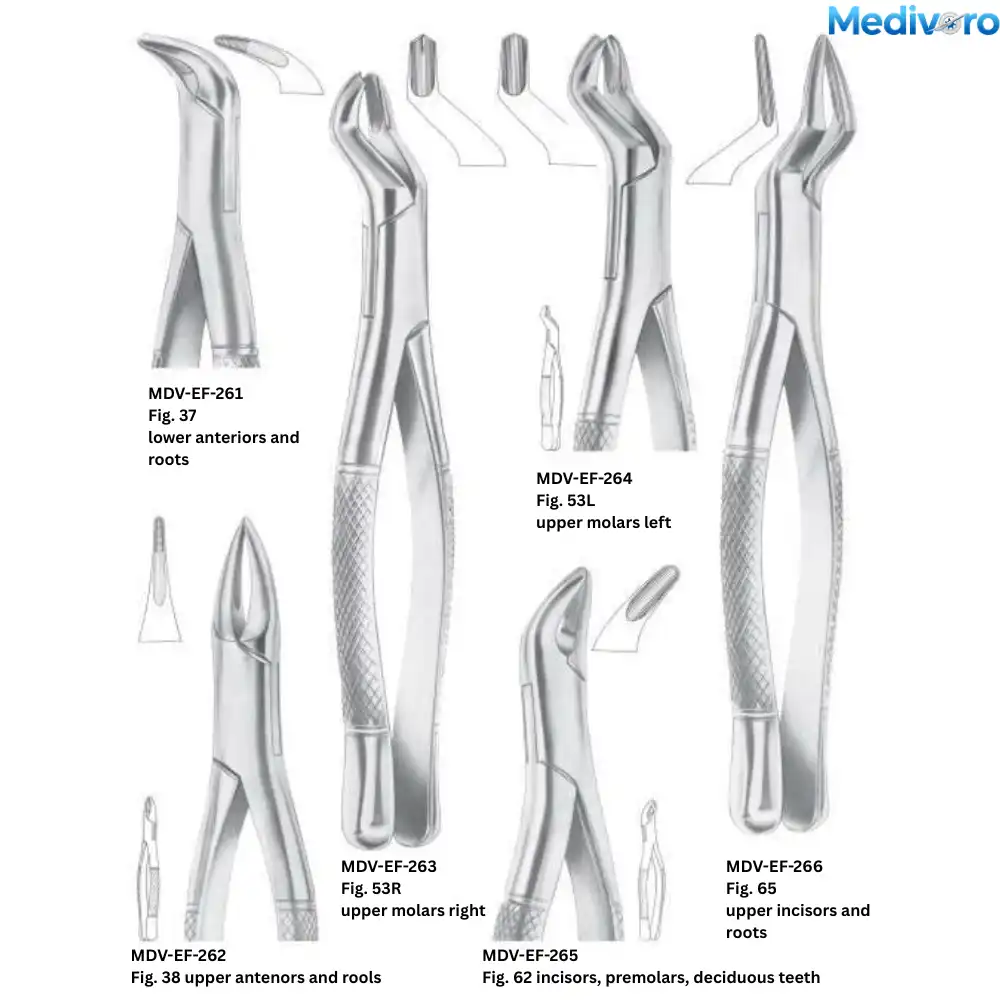 Medivoro dental forceps including lower anteriors (Fig 37), upper anteriors (Fig 38, 65), upper molars (Fig 53R, 53L), and deciduous teeth (Fig 62).